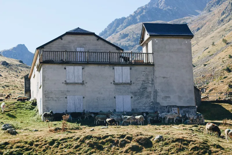 Cabanes et abris de bergers : dormir dans les refuges oubliés des Pyrénées