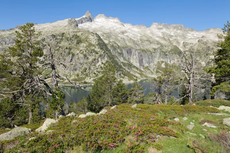 Zones protégées, chemins fermés, bivouac interdit : ce que les Pyrénées vous cachent vraiment